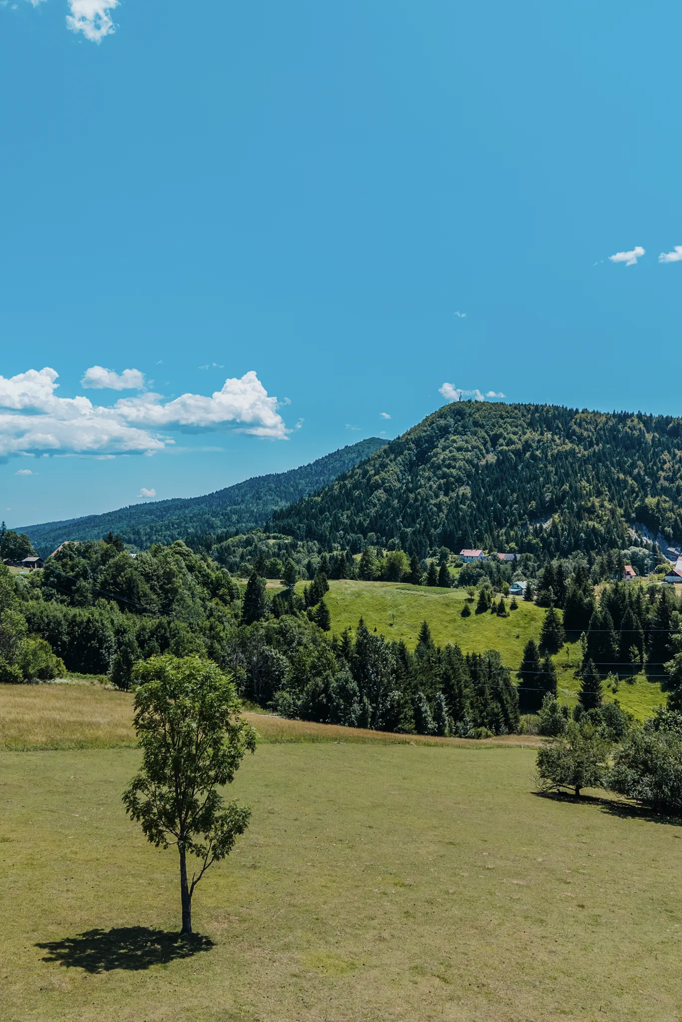 Široki pogled na šume i planine Gorskog kotara oko Ravne Gore — grebeni Risnjaka i krošnje u svim smjerovima, koji dočaravaju doživljaje kroz sva godišnja doba